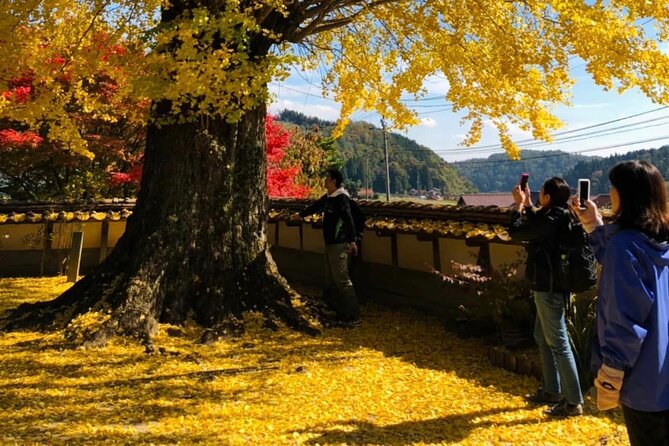 Oasa Country Cycling (Easy Access From Hiroshima 1 Hr Scenic Bus) - Use of Bicycle