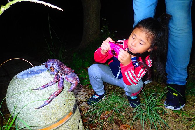 [Okinawa Miyako] Natural Planetarium! Starry Sky & Subtropical Jungle Night Tour - Additional Resources