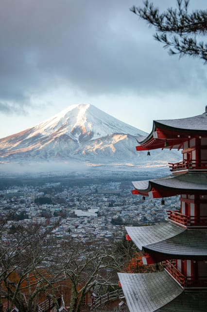 One Day Private Tour to Mt Fuji & Hakone With English Driver - Important Information