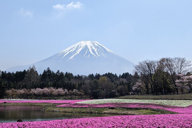 Private Car Mt Fuji and Gotemba Outlet in One Day From Tokyo - Itinerary Overview