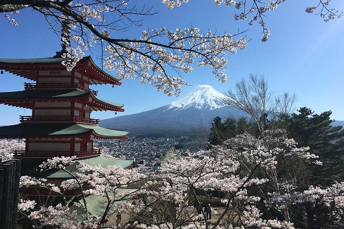 Private Car Tour to Mt. Fuji Lake Kawaguchiko or Hakone Lake Ashi - Tour Highlights and Experiences