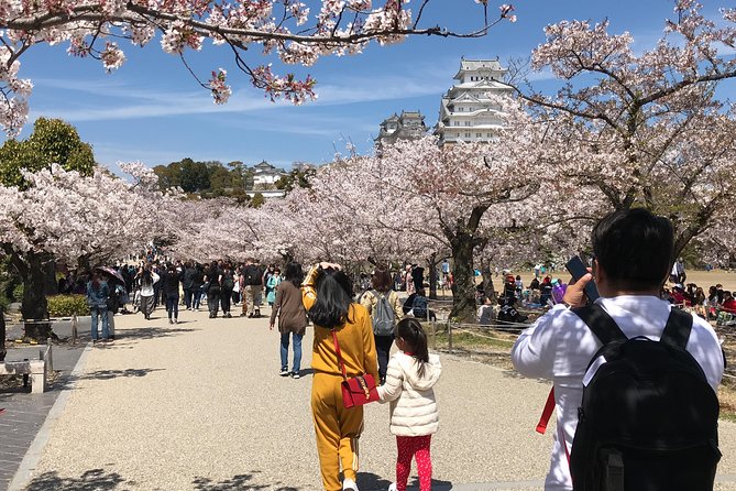 Private & Custom KOBE-HIMEJI CASTLE Day Tour by Coaster/Microbus (Max 27 Pax) - Air-conditioned Vehicle