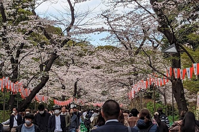 Private Day Tour in Tokyo With a Native English Speaker - Directions for Booking and Participation