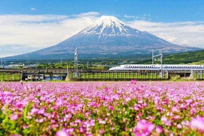 Private Mount Fuji and Hakone Sightseeing Day Trip With Guide - Additional Trip Details and Recommendations