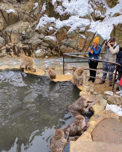 Private Snow Monkey Zenkoji Temple Sightseeing Day Tour - Language and Highlights