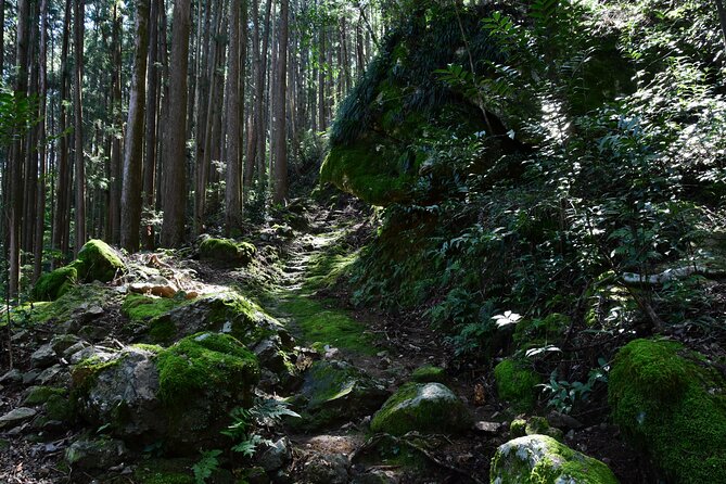 Private Spiritual Hike in Hidakamura With Mountain Monk - Meeting and Pickup Details