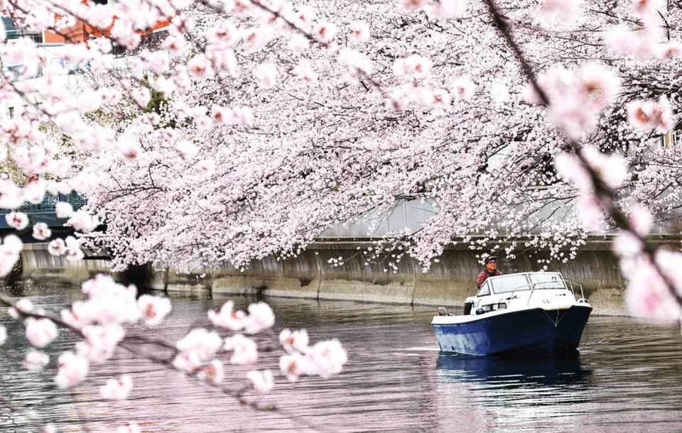 Relaxed Tokyo Bay Cruise Enjoy Your Own Food & Drinks at Sea - Important Information