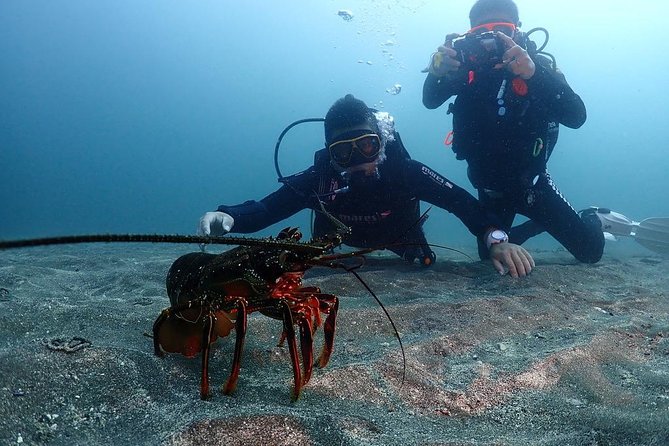 Scuba Diving & Snorkeling - Safety Guidelines