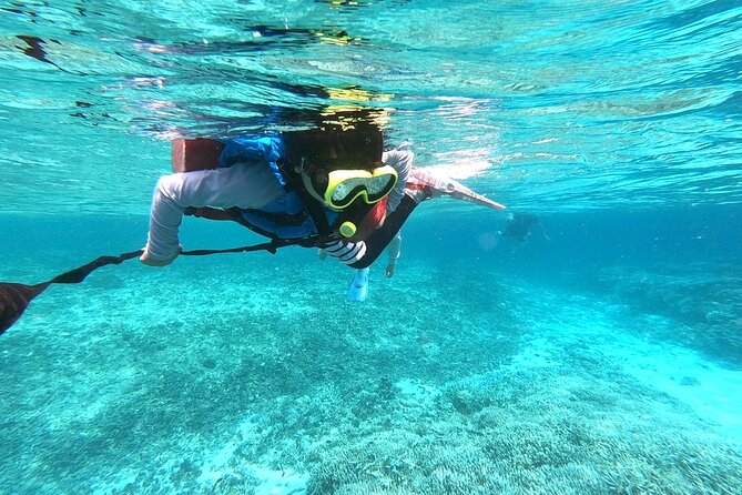 Snorkeling Tour at Coral Island in Iriomote, Okinawa - Meeting Point Details