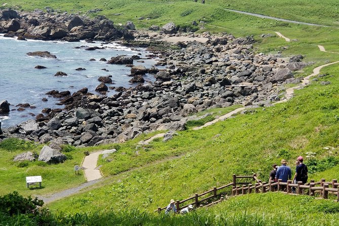 The Best Morning and Michinoku Shiokaze Trail Trekking in the Tanesashi Coast Natural Grassland - Natural Grassland Exploration