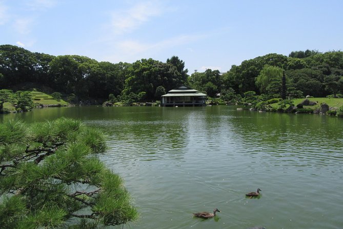 Tokyo by Bike: Skytree, Kiyosumi Garden and Sumo Stadium - Customer Reviews and Feedback