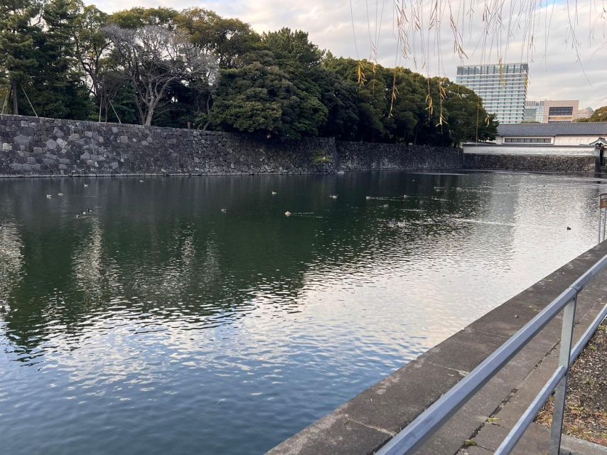 Tokyo Grand Shrines and Around Imperial Palace Walking Tour - Customer Reviews