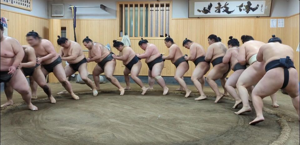 Tokyo: Morning Sumo Practice Viewing - Traveler Reviews