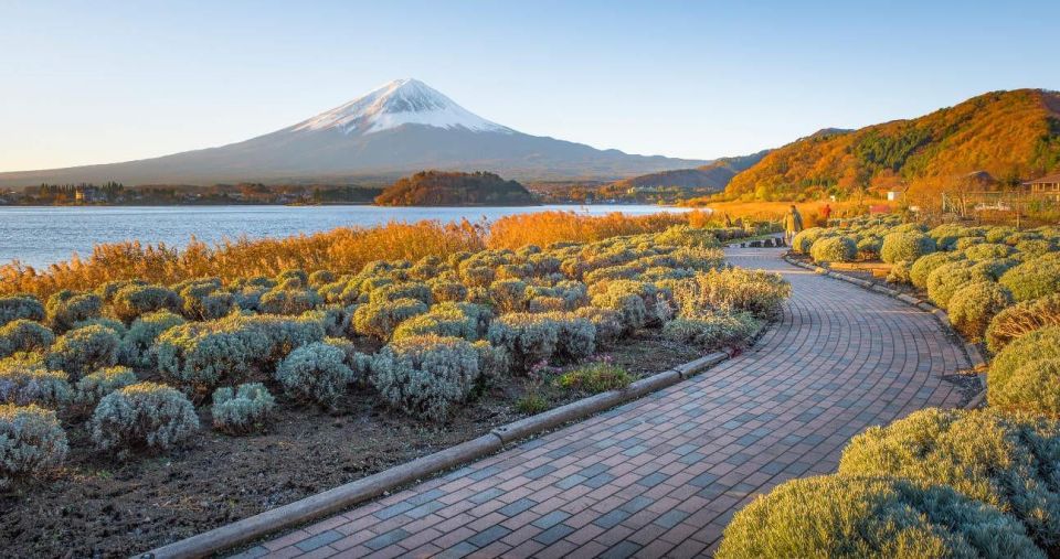 Tokyo: Mt Fuji Day Tour With Kawaguchiko Lake Visit - Customer Reviews