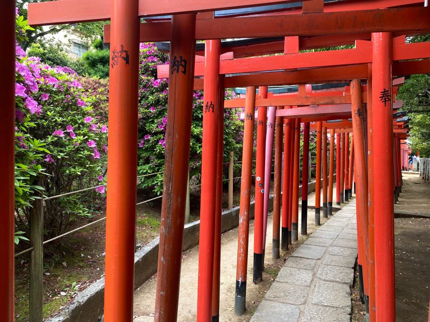 Tokyo Old Quarter - Yanaka Walking Tour - Group Size and Language Options