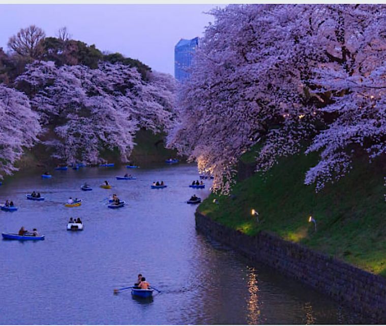 Tokyo Private Tour: Customizable (Up-To 6 Persons) - Highlights