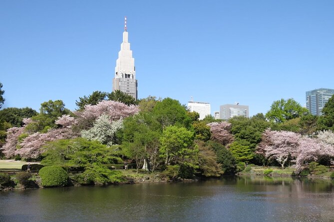 Tokyo Self-Guided Audio Tour - Audio Guide Access