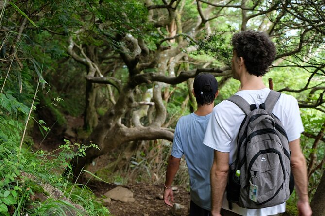 Traverse the Outer Rim of Hakone Caldera and Enjoy an Onsen Hiking Tour - Booking Information