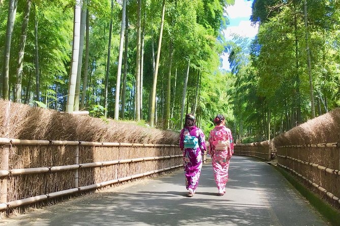 Visit to Secret Bamboo Street With Antique Kimonos! - Cultural Heritage Insights