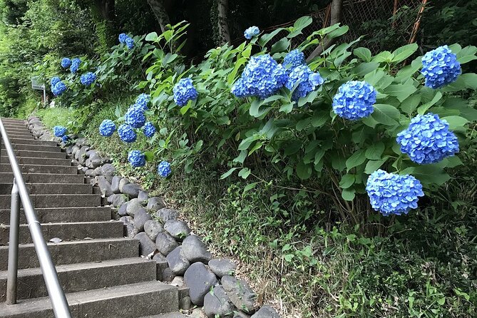 Walking the Only Valley in Tokyo, Eat and Compare Hot Pot Dishes. - Additional Information for Participants