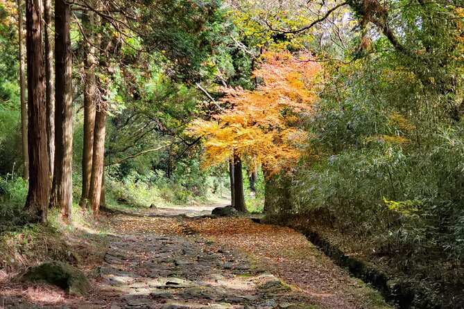 Walking Through the Aso Caldera, Historical Walk Along the 'Bungo Kaido' - Verified Reviewer Profiles