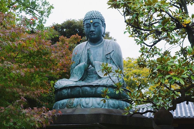 Yanaka Walking Tour - Tokyo Old Quarter - Accessing Traveler Photos and Reviews