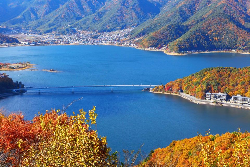 1-Day Trip: Mt Fuji + Kawaguchi Lake Area - Important Information for Travelers