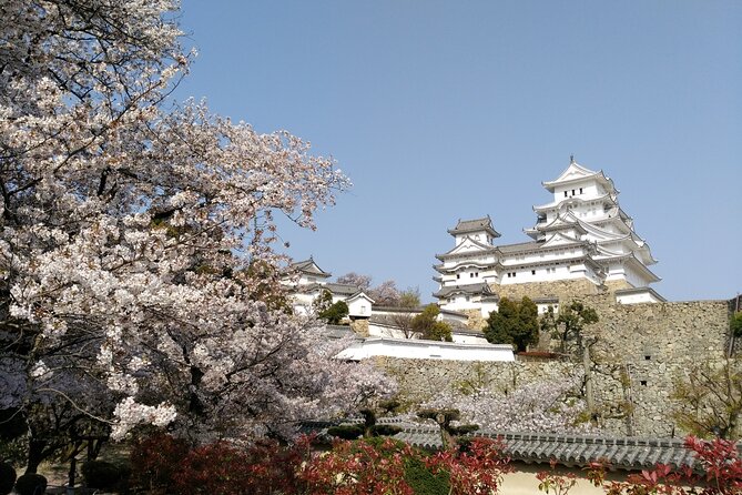 2.5 Hour Private History and Culture Tour in Himeji Castle - Cancellation Policy