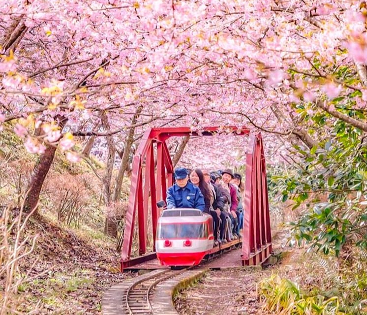 4-Day Private Kyoto Osaka Nara Sightseeing Tour With Guide - Accessibility Information