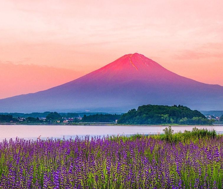 4-Day Private MT Fuji Tokyo Kamakura Hakone Nikko Yokohama - Important Information