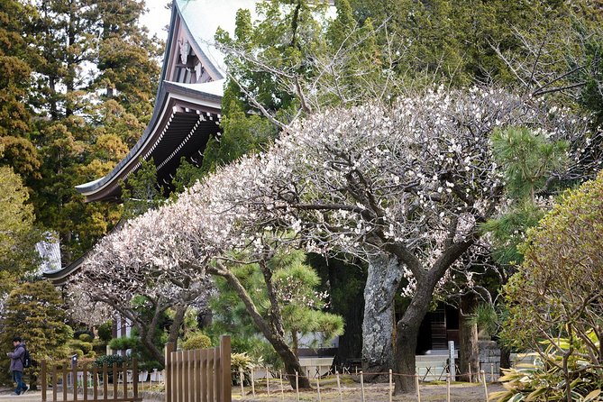 A Fun Day Out Discovering Kamakura - Private Tour Details