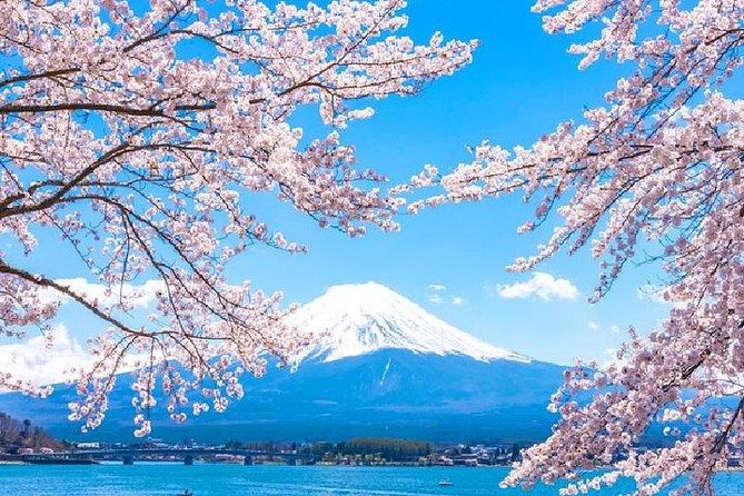 Cherry Blossom ! Five-Story Pagoda,Mt. Fuji 5th Station,Panoramic Ropeway - Last Words