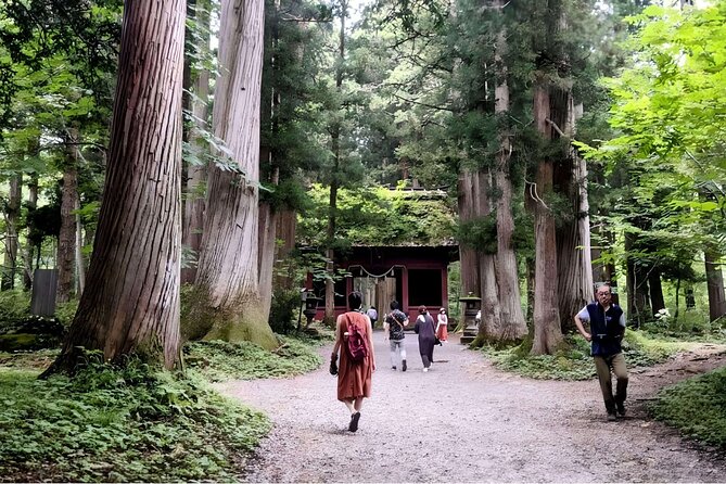 Forest Shrines of Togakushi, Nagano: Private Walking Tour - Frequently Asked Questions