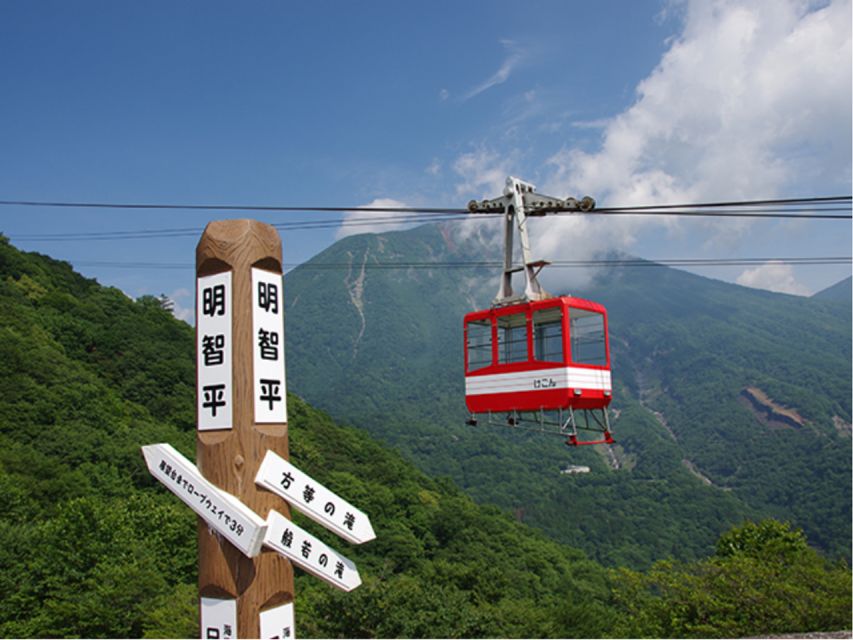 From Tokyo: Nikko UNESCO Shrine and Nature View 1-Day Tour - Customer Reviews