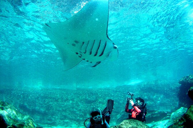 Full Day Guided Boat 2diving in Kerama Islands（License Required） - Frequently Asked Questions