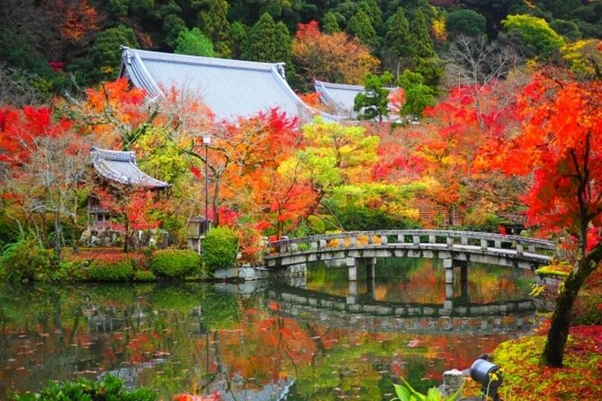 Full Day Hidden Kyotogenic for Autumn Tour in Kyoto - Accessibility Information