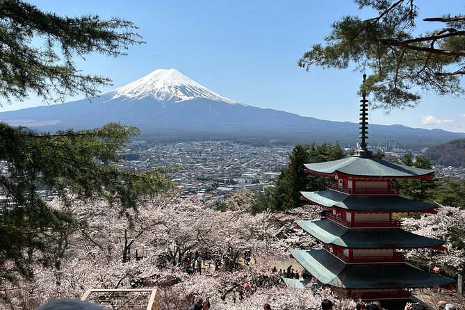 Full Day Mt.Fuji Tour To-And-From Yokohama&Tokyo, up to 12 Guests - Frequently Asked Questions