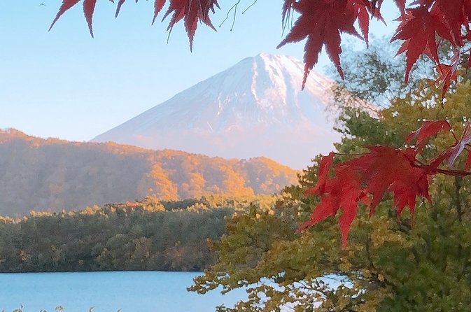 Full Day Private Fuji Tour With English Driver & Muslim Friendly - Common questions