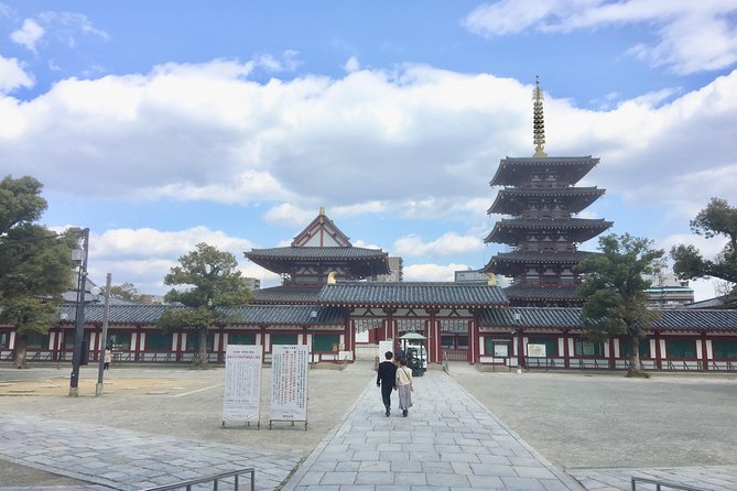 Full-Day Private Guided Tour to Historical Osaka - Pricing Options