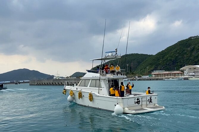 Great Whale Watching at Kerama Islands and Zamami Island - Sustainable Whale Watching Practices