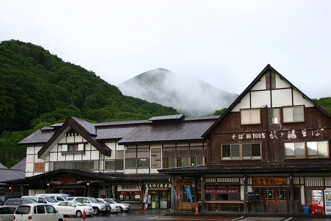 Half-Day Private Guided Japanese Hot Spring Experience - Magical Healing Hot Spring