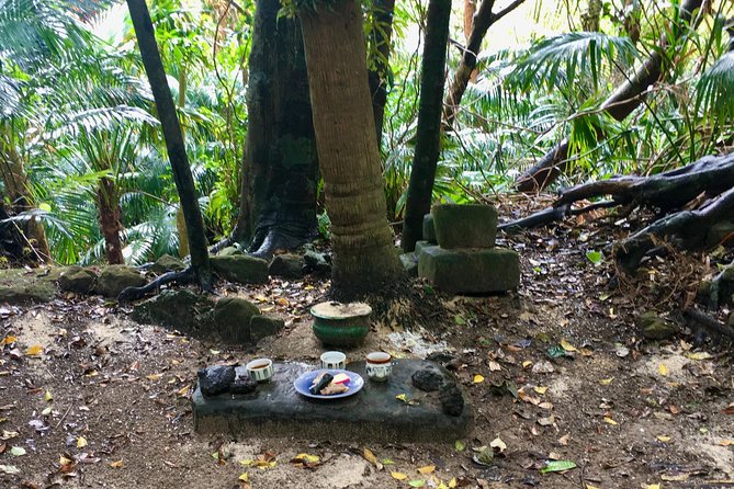 Half-Day Walking Tour to Indigenous Iriomote Village 2024 - Iriomote Island - Accessibility Notes