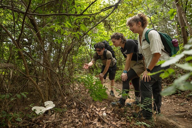 Half Trekking Tour With Panoramic View of Miyajima Included Lunch - Contact and Assistance