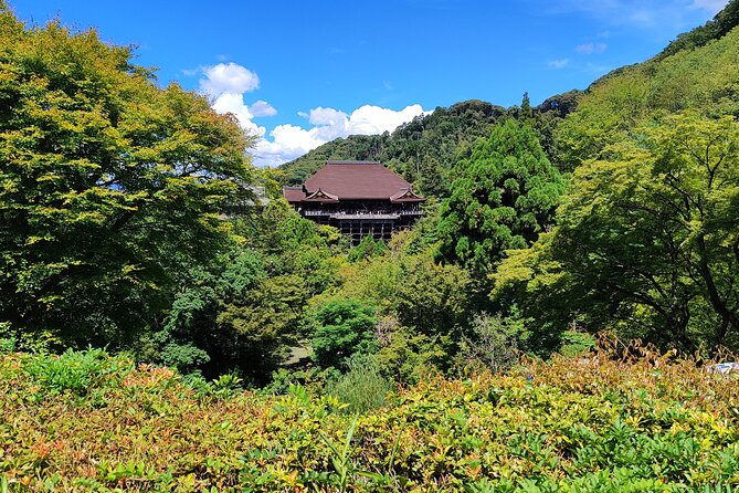 Hike Through Kyotos Best Tourist Spots - Terms & Conditions