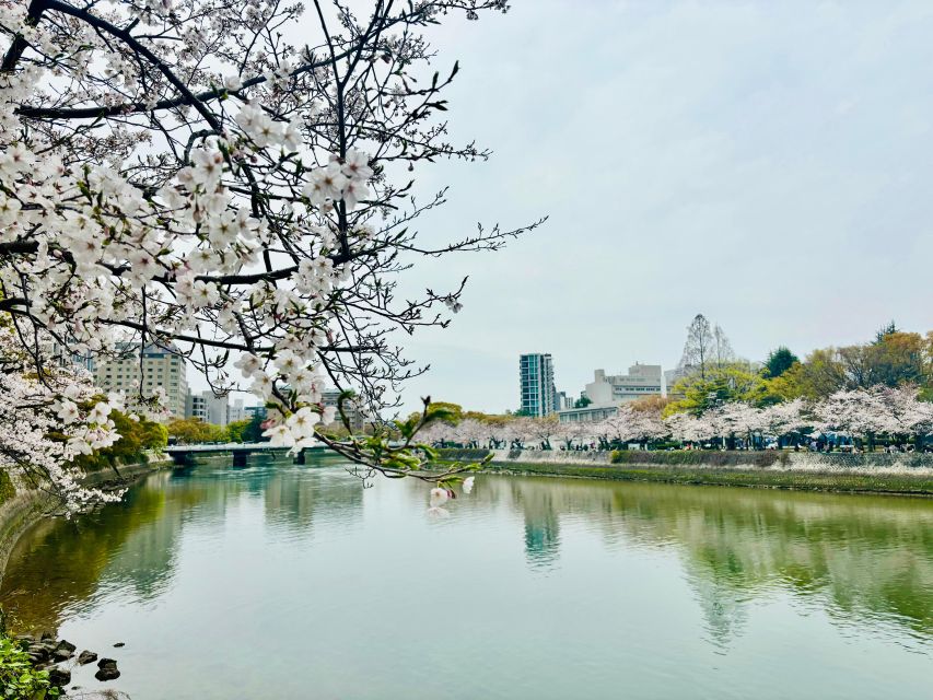 Hiroshima: History of Hiroshima Private Walking Tour - Booking Information