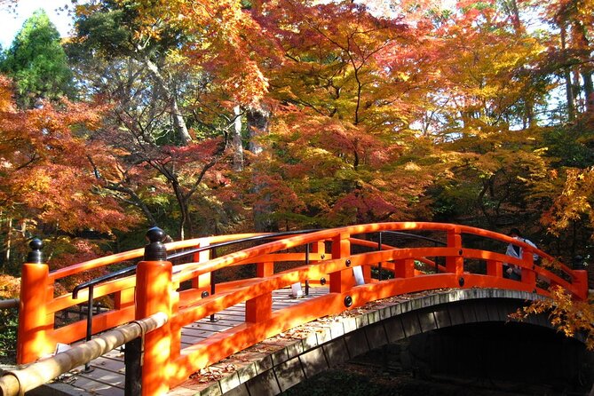 Historical Kyoto Bike Tour (E-Bike or Sport Bike) - Directions