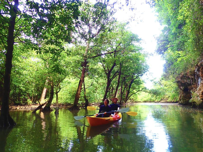 Ishigaki Island: 2-Hour Miyara River Kayaking Tour - Important Information for Participants