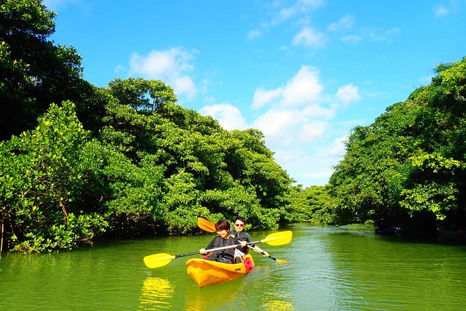 Ishigaki Mangrove SUP/Canoe Blue Cave Snorkeling - Assistance and Inquiries