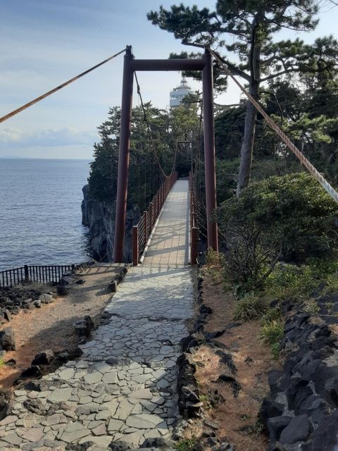 Izu Peninsula: Jogasaki Coast Experience - Discover Coastal Flora and Fauna