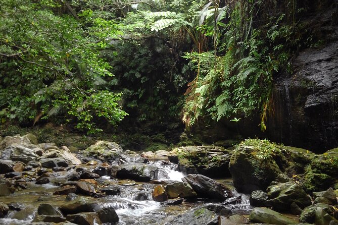 Jungle River Trek: Private Tour in Yanbaru, North Okinawa - Cancellation and Refund Policy